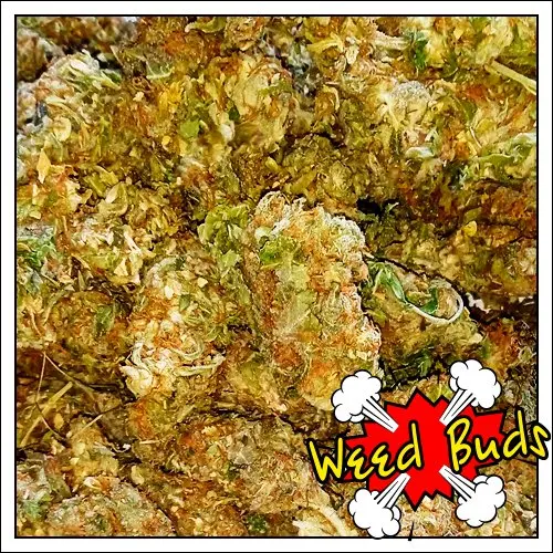 Шишки "Gorilla Glue" - %СКИДКИ%