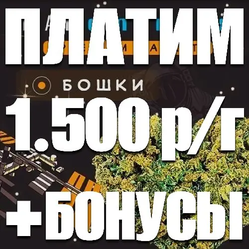 ★Бошки Amnesia★ АКЦИЯ 3+1кл В ПОДАРОК ★