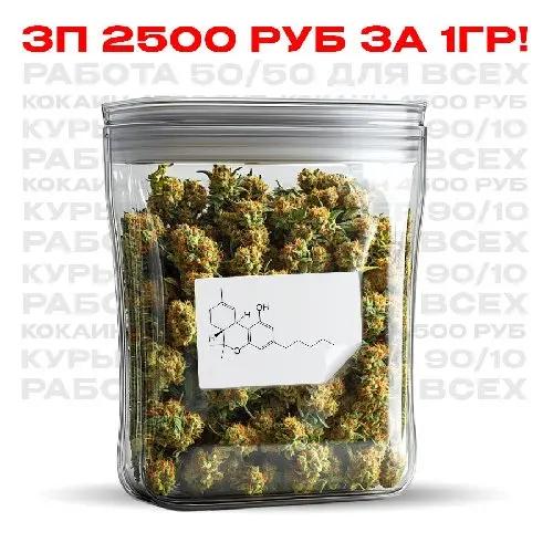 Шишки Джелато. Зп 2500/1гр 