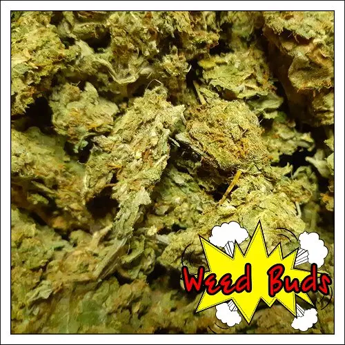Шишки "Mint OG" - %СКИДКИ%
