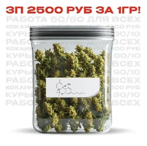 Шишки Блю Дрим. Зп 2500/1гр 