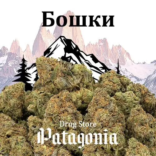 💯 Бошка "Pineapple Chunk" 💯 SHQ+