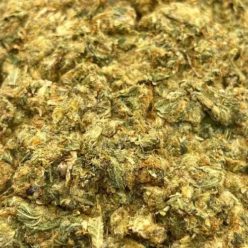   🌿 Шишки Galosa