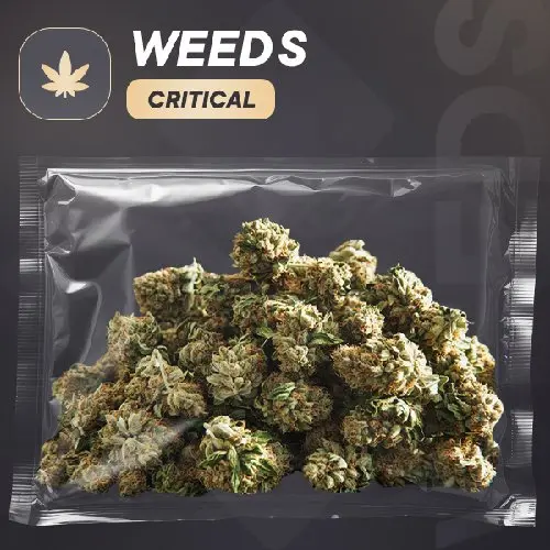 Weeds | Critical